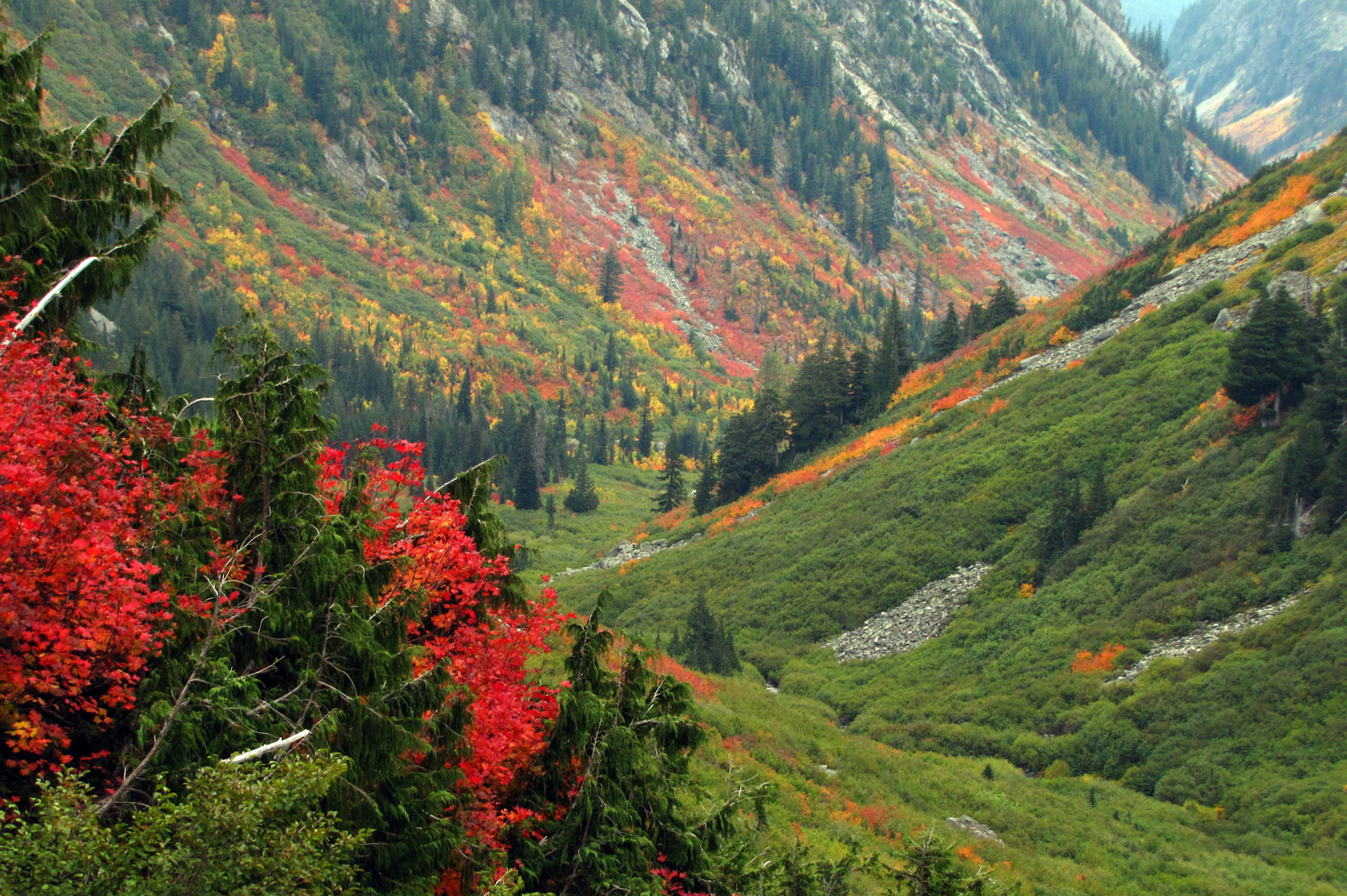 Stehekin – In the Heart of the North Cascades